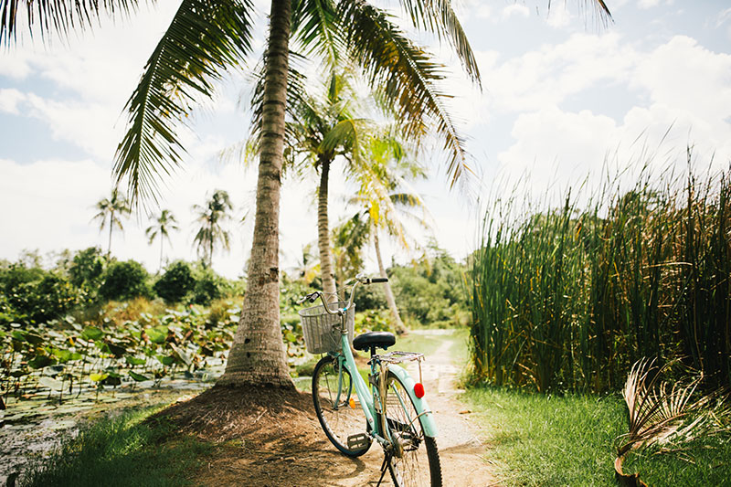 Bicicletas de bambú